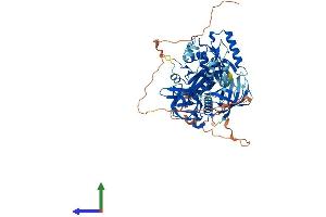 AlphaFold protein structure predicition of Human Recombinant GTPBP1 Protein, UniprotID O00178
