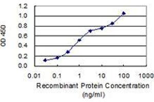 Detection limit for recombinant GST tagged DEDD is 0. (DEDD antibody  (AA 91-190))