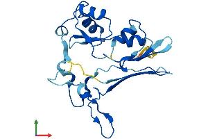 AlphaFold protein structure predicition of Human Recombinant GGTLC2 Protein, UniprotID Q14390 (GGTLC2 Protein (AA 1-218) (His tag))