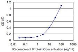 Detection limit for recombinant GST tagged PCDH10 is 0. (PCDH10 antibody  (AA 18-127))