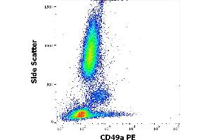 Flow cytometry surface staining pattern of human peripheral whole blood stained using anti-human CD49a (TS2/7) PE antibody (10 μL reagent / 100 μL of peripheral whole blood). (Integrin alpha 1 antibody  (PE))