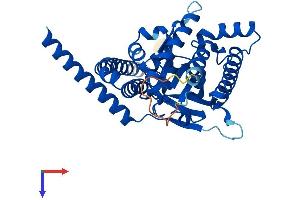 AlphaFold protein structure predicition of Human Recombinant LPGAT1 Protein, UniprotID Q92604 (LPGAT1 Protein (AA 1-370) (His tag))