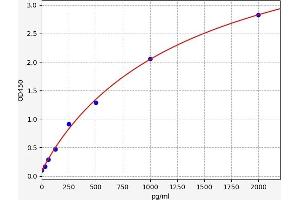 RGS3 ELISA Kit