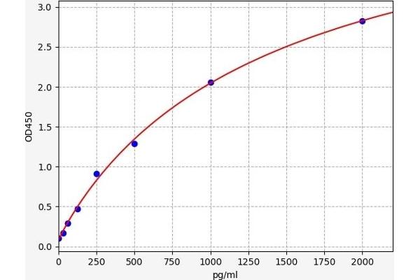 RGS3 ELISA Kit