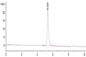 The purity of 2019-nCoV Spike S is greater than 95 % as determined by SEC-HPLC. (SARS-CoV-2 Spike Protein (Fc-Avi Tag))