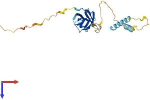 MOSPD3 Protein (AA 1-235) (His tag)