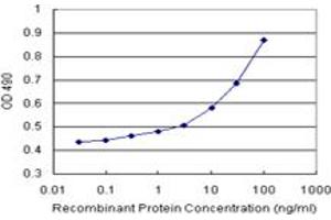 Sandwich ELISA detection sensitivity ranging from 3 ng/mL to 100 ng/mL. (RAD51 (Human) Matched Antibody Pair)