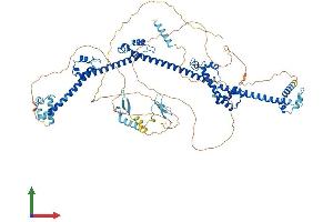 Protein Structure (PS) image for PRP40 Pre-mRNA Processing Factor 40B (PRPF40B) (AA 1-871) protein (His tag) (ABIN7550937)