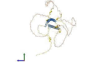 AlphaFold protein structure predicition of Mouse Recombinant Mycs Protein, UniprotID Q9Z304 (Myc-Like Oncogene, S-Myc Protein (MYCS) (AA 1-431) protein (His tag))