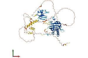 AlphaFold protein structure predicition of Human Recombinant NXF3 Protein, UniprotID Q9H4D5 (NXF3 Protein (AA 1-531) (His tag))