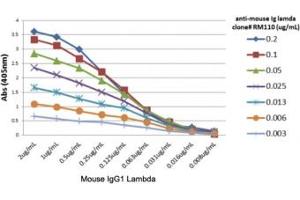 ELISA titer: the plate was coated with different amounts of mouse IgG1, lambda. (Recombinant Rabbit anti-Mouse lambda Light Chain (Lambda-IgLC) Antibody)