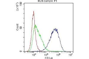 Flow Cytometry (FACS) image for anti-CD81 (CD81) (AA 113-201) antibody (ABIN5693257)