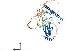 Protein Structure (PS) image for Ras Association (RalGDS/AF-6) Domain Family Member 5 (RASSF5) (AA 1-418) protein (His tag) (ABIN7555157)
