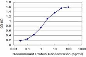 Detection limit for recombinant GST tagged PIK3C2B is approximately 0. (PIK3C2B antibody  (AA 1-110))