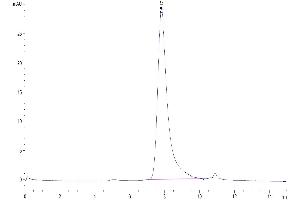 The purity of Mouse B7-H5/Gi24/VISTA is greater than 95 % as determined by SEC-HPLC. (VTCN1 Protein (AA 33-191) (His tag))