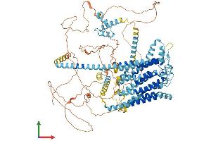 Protein Structure (PS) image for Transmembrane Channel-Like 5 (Tmc5) (AA 1-1006) protein (His tag) (ABIN7555828)