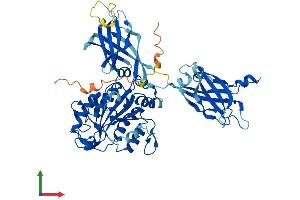 Protein Structure (PS) image for Copine IV (CPNE4) (AA 1-557) protein (His tag) (ABIN7558746)