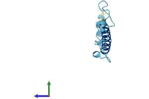 AlphaFold protein structure predicition of Human Recombinant NDUFA4L2 Protein, UniprotID Q9NRX3
