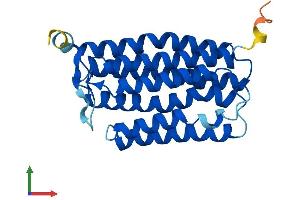 AlphaFold protein structure predicition of Mouse Recombinant Mmd Protein, UniprotID Q9CQY7 (MMD Protein (AA 1-238) (His tag))