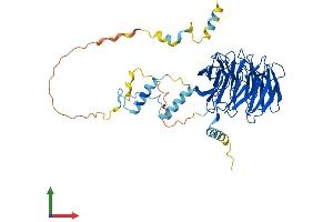 AlphaFold protein structure predicition of Mouse Recombinant Cdc20 Protein, UniprotID Q9JJ66 (CDC20 Protein (AA 1-499) (His tag))