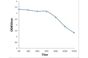 Antigen: 0. (DOK2 antibody  (pTyr351))