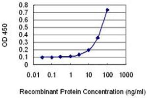 Detection limit for recombinant GST tagged AHNAK2 is 1 ng/ml as a capture antibody. (AHNAK2 antibody  (AA 5527-5636))