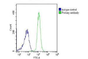 Overlay histogram showing K562 cells stained with (ABIN6242964 and ABIN6578647) (green line). (PIGC antibody  (AA 264-294))