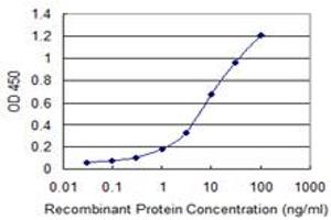 Detection limit for recombinant GST tagged GNB5 is 0. (GNB5 antibody  (AA 1-90))