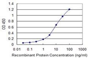 Detection limit for recombinant GST tagged GNB5 is 0. (GNB5 antibody  (AA 1-90))