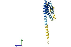 AlphaFold protein structure predicition of Human Recombinant CMTM3 Protein, UniprotID Q96MX0