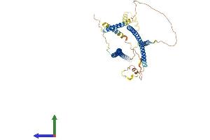 Protein Structure (PS) image for Cerebellar Degeneration-Related Protein 2, 62kDa (CDR2) (AA 1-455) protein (His tag) (ABIN7556830)