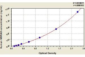 Typical Standard Curve (MXRA8 ELISA Kit)