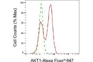 Flow cytometric analysis of AKT1 expression in C2C12 cells using AKT1 antibody (ABIN7800780), 1:2,000). (AKT1 antibody)