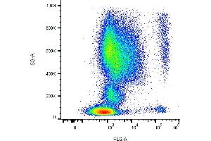 Flow cytometry analysis (surface staining) of CD193 in human peripheral blood with anti-human CD193 (5E8) purified, GAM-APC. (CCR3 antibody)