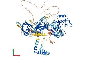 AlphaFold protein structure predicition of Human Recombinant PALS1 Protein, UniprotID Q8N3R9 (MPP5 Protein (AA 1-675) (His tag))