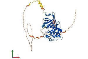 AlphaFold protein structure predicition of Human Recombinant AURKA Protein, UniprotID O14965 (Aurora A Protein (AA 1-403) (His tag))
