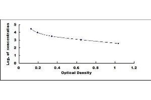 Typical standard curve (AMH ELISA Kit)