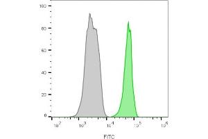 Flow cytometry analysis of lymphocyte gated PBMCs unstained (gray) or stained with CF488A-labeled CD45 monoclonal antibody (135-4C5) (green). (CD45 antibody)