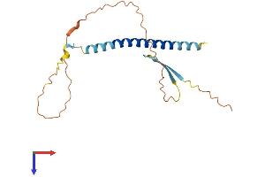 AlphaFold protein structure predicition of Human Recombinant C5orf47 Protein, UniprotID Q569G3 (C5ORF47 Protein (AA 1-176) (His tag))