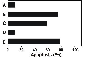 Induction of apoptosis Apoptosis induced in JURKAT human T cell leukemia cell line by soluble recombinant human TRAIL is completely blocked by anti-human TRAIL (2E5). (TRAIL antibody  (AA 95-281) (PE))