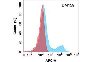 Flow cytometry analysis with Anti-NTB-A (DM159) on Expi293 cells transfected with human NTB-A (Blue histogram) or Expi293 transfected with irrelevant protein (Red histogram).