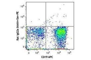 Flow Cytometry (FACS) image for anti-Syndecan 1 (SDC1) antibody (Biotin) (ABIN2660748) (Syndecan 1 antibody  (Biotin))