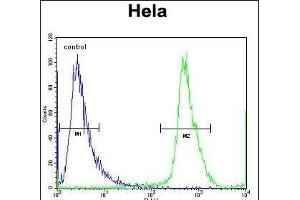 NUP35 Antibody (C-term) (ABIN656791 and ABIN2846010) flow cytometric analysis of Hela cells (right histogram) compared to a negative control cell (left histogram). (NUP35 antibody  (C-Term))