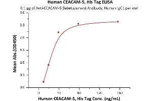 Immobilized AM-5 (labetuzumab) Antibody, Human IgG1 Antibody at 1 μg/mL (100 μL/well) can bind Human CEACAM-5, His Tag (ABIN6253201,ABIN6253522) with a linear range of 10-39 ng/mL (Routinely tested).
