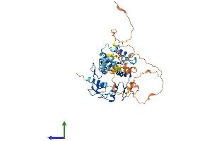 AlphaFold protein structure predicition of Human Recombinant ZNF213 Protein, UniprotID O14771