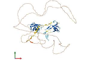 AlphaFold protein structure predicition of Human Recombinant COIL Protein, UniprotID P38432 (Coilin Protein (COIL) (AA 1-576) (His tag))