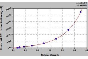 Typical Standard Curve (AZGP1 ELISA Kit)