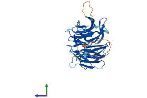 AlphaFold protein structure predicition of Mouse Recombinant Nup43 Protein, UniprotID P59235
