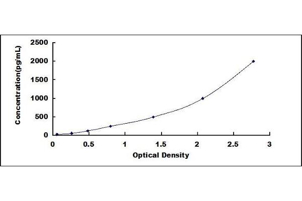 VWA1 ELISA Kit