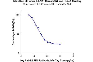 Serial dilutions of Anti-LILRB1 Antibody were added into Biotinylated Human HLA-G Complex Tetramer, His Tag : Human LILRB1 Domain1&2, His Tag binding reactioins. (LILRB1 Protein (AA 24-221) (His tag))